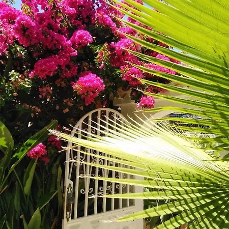 Ferienhaus Casa Limona In Teneriffas Sonnigem Süden Arona (Tenerife)