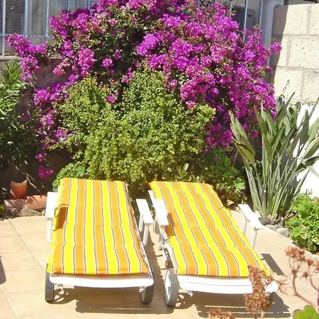 Casa-limona-in-teneriffas-sonnigem-sueden