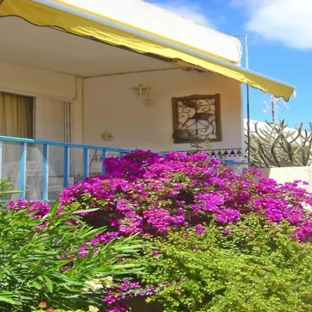 Casa-limona-in-teneriffas-sonnigem-sueden * ארונה