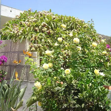 בית נופש Casa-limona-in-teneriffas-sonnigem-sueden