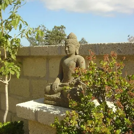 Casa-limona-in-teneriffas-sonnigem-sueden ארונה