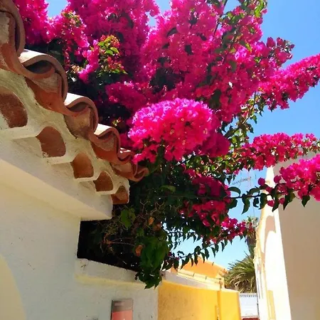Casa-limona-in-teneriffas-sonnigem-sueden בית נופש *